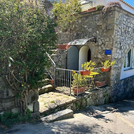 Villa Valentina Suite Massa Lubrense Zewnętrze zdjęcie