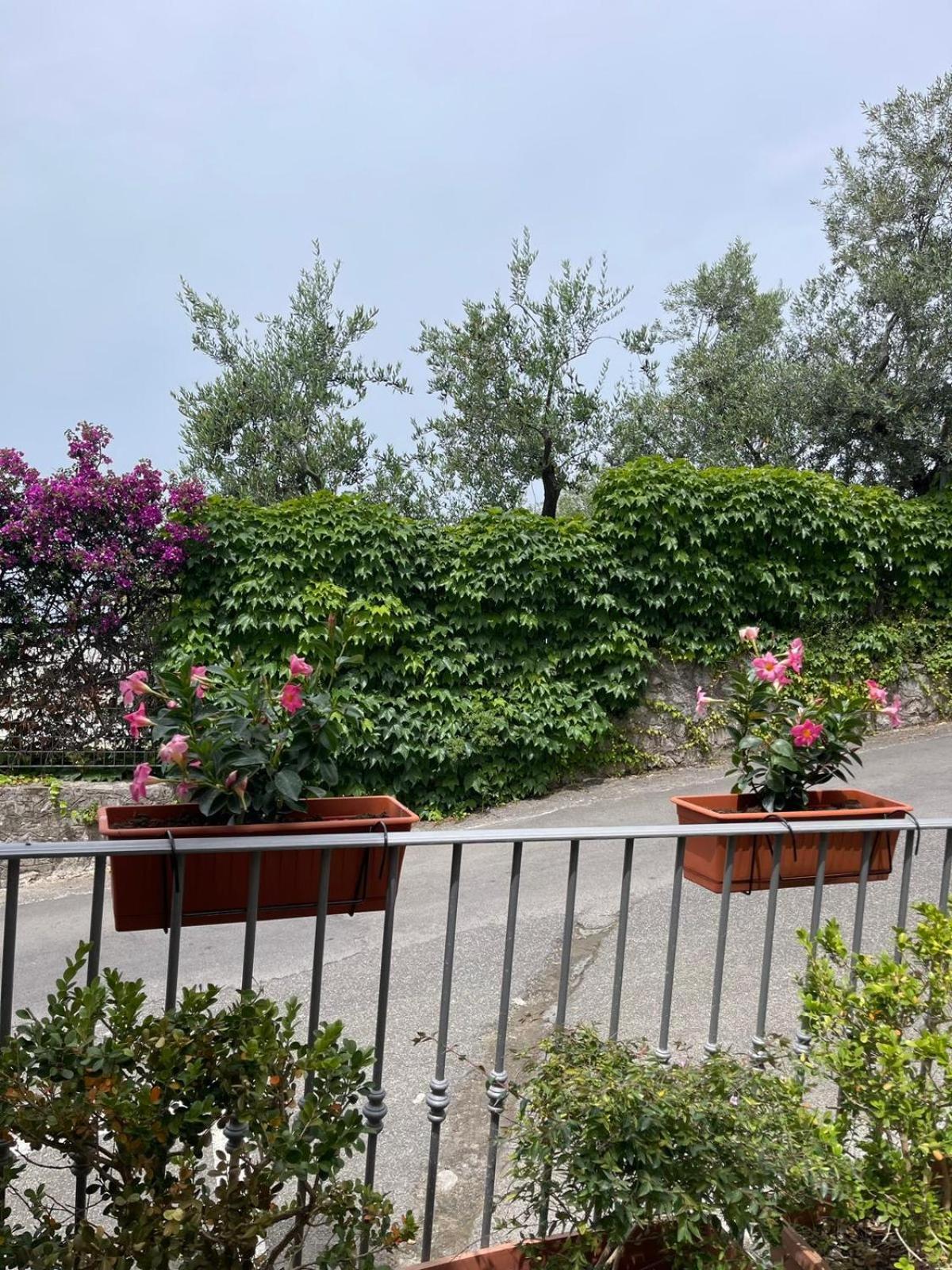 Villa Valentina Suite Massa Lubrense Zewnętrze zdjęcie